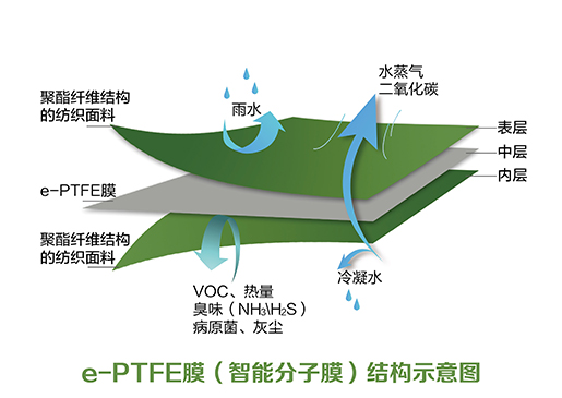 1-240P91R301952 分子膜结构_画板 1 副本.jpg