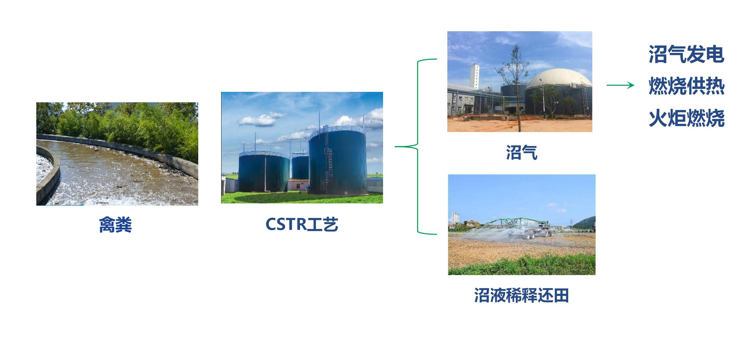 中；；；肪-·-禽类粪便全产业链系统解决规划-9.0_01.jpg